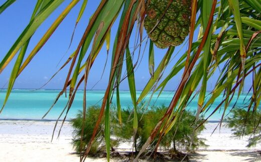 Atpūtas ceļojumi uz Zanzibāru